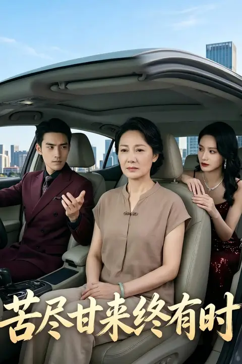 《苦尽甘来终有时》封面