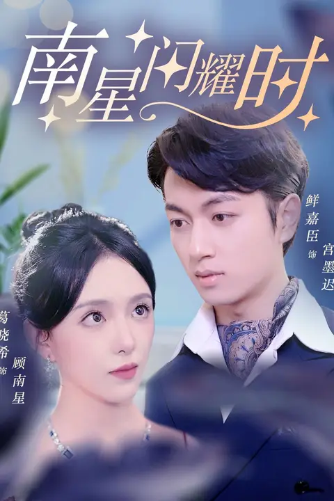 《南星闪耀时》封面