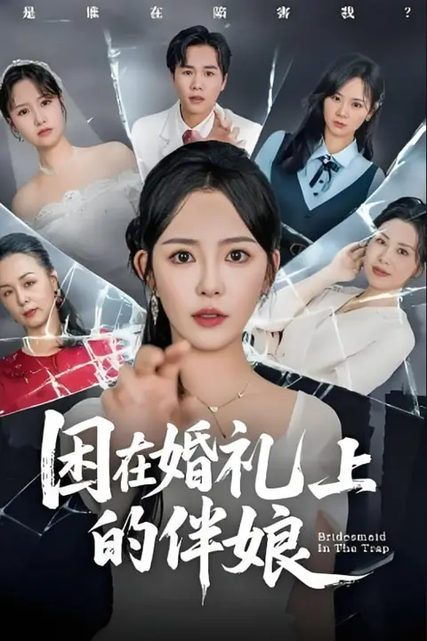 《困在婚礼上的伴娘》封面