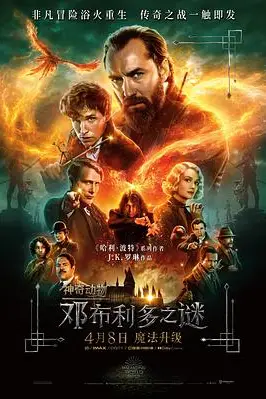 《神奇动物:邓布利多之谜》封面