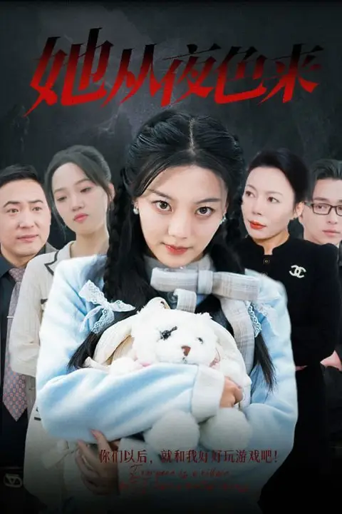 《她从夜色来》封面