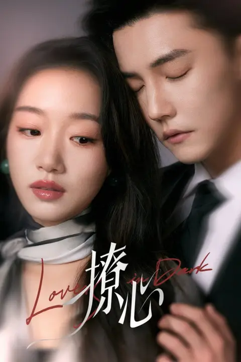 《撩心(暗撩)》封面
