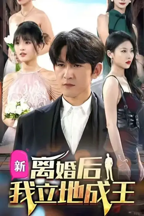 《离婚后我立地成王》封面