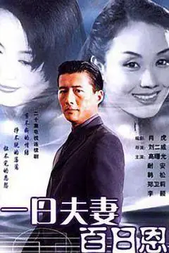 《一日夫妻百日恩》封面