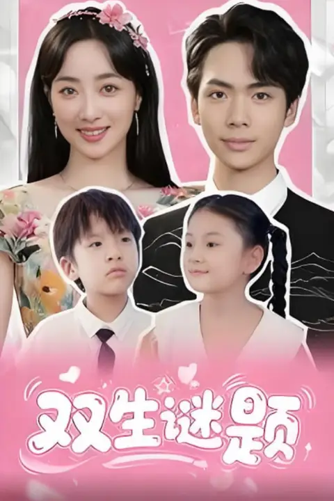 《双生谜题》封面