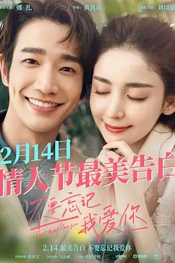 《不要忘记我爱你》封面