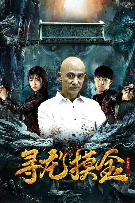 《寻龙摸金》封面