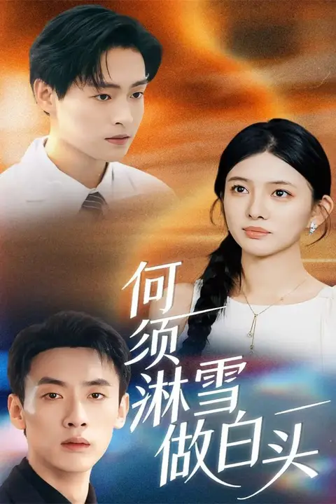 《何须淋雪做白头》封面