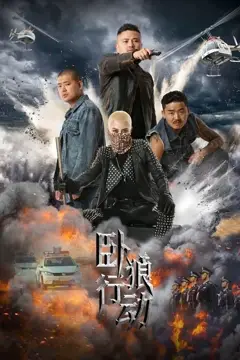 《卧狼行动》封面