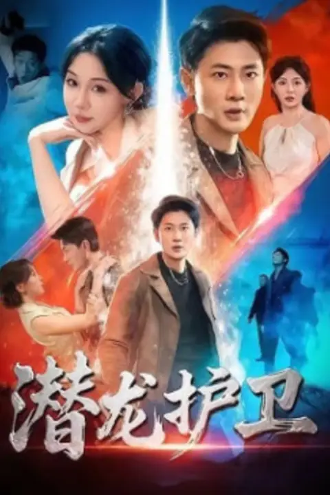 《潜龙护卫》封面