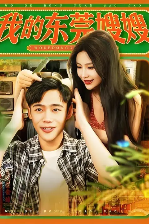 《我的东莞嫂嫂》封面