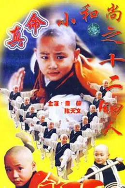 《真命小和尚之十二铜人》封面