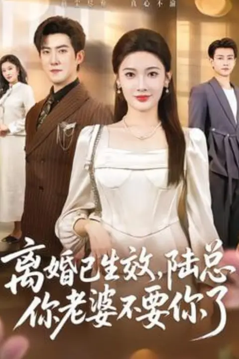 《离婚已生效，陆总你老婆不要你了》封面