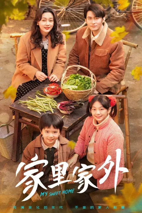 《家里家外》封面