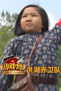 《小戏骨:洪湖赤卫队》封面