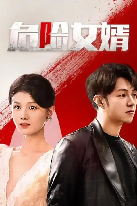 《危险女婿》封面
