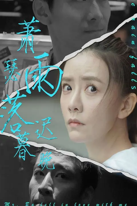 《萧瑟雨落迟暮晚》封面