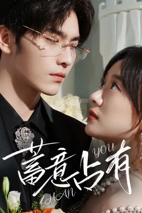 《蓄意占有》封面