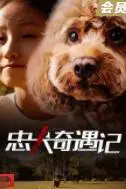 《忠犬奇遇记》封面