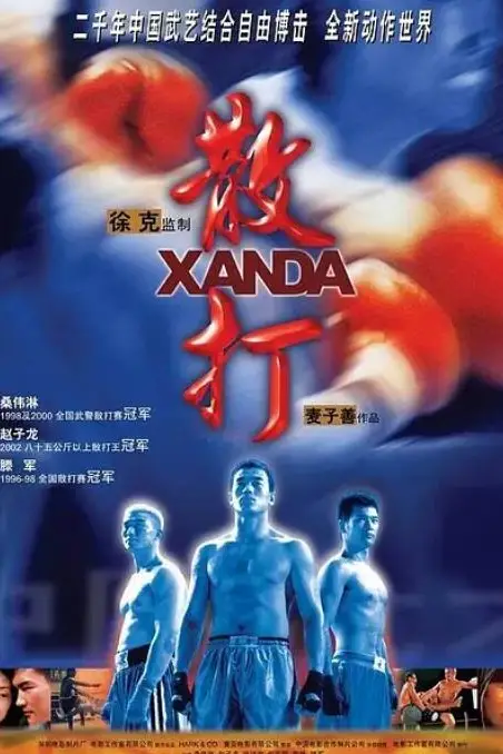 《散打》封面