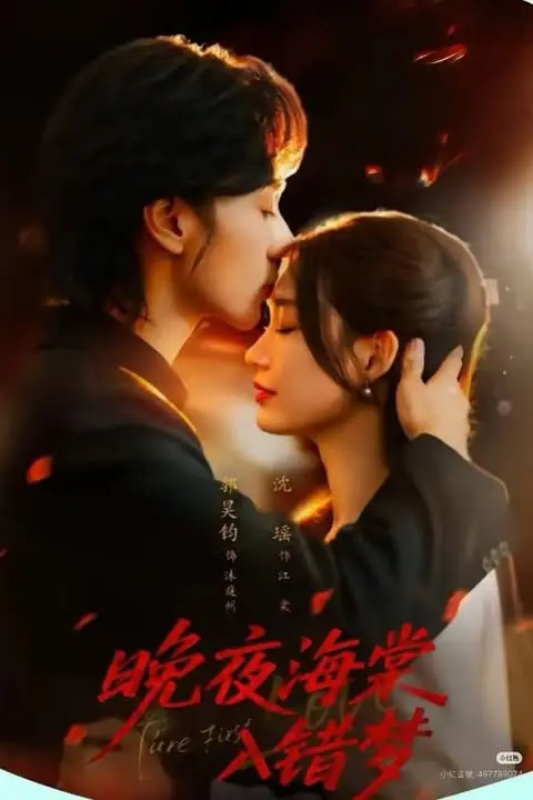《晚夜海棠入错梦》封面