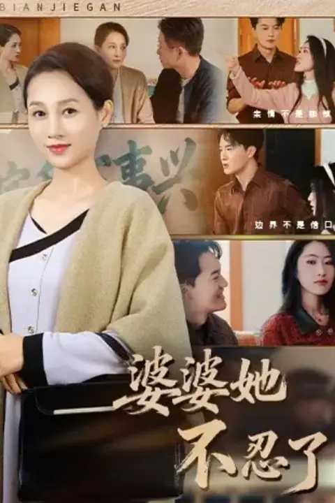 《婆婆她不忍了》封面