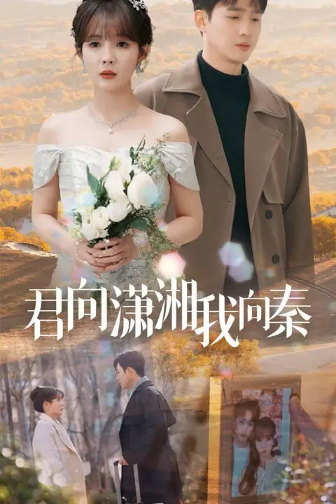 《君向潇湘我向秦》封面