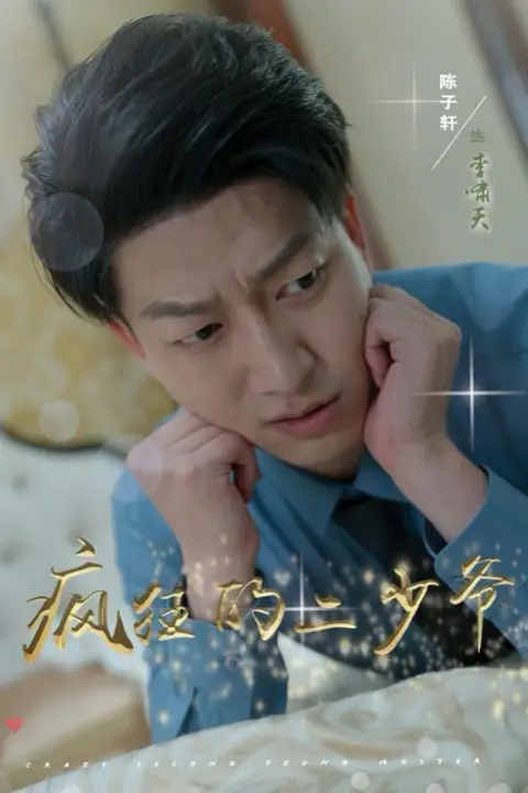 《疯狂的二少爷》封面