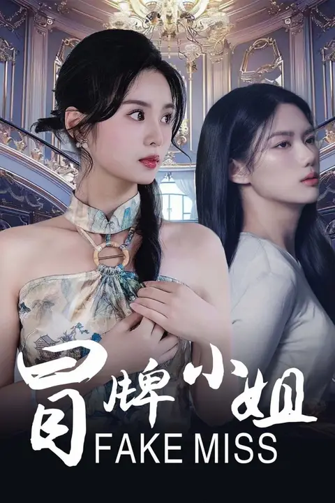 《冒牌小姐》封面