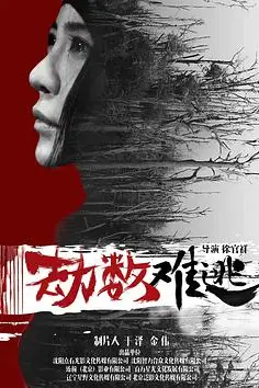 《劫数难逃》封面