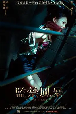 《监禁风暴》封面