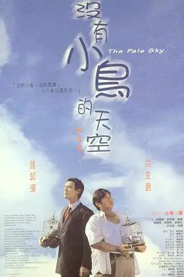 《没有小鸟的天空》封面