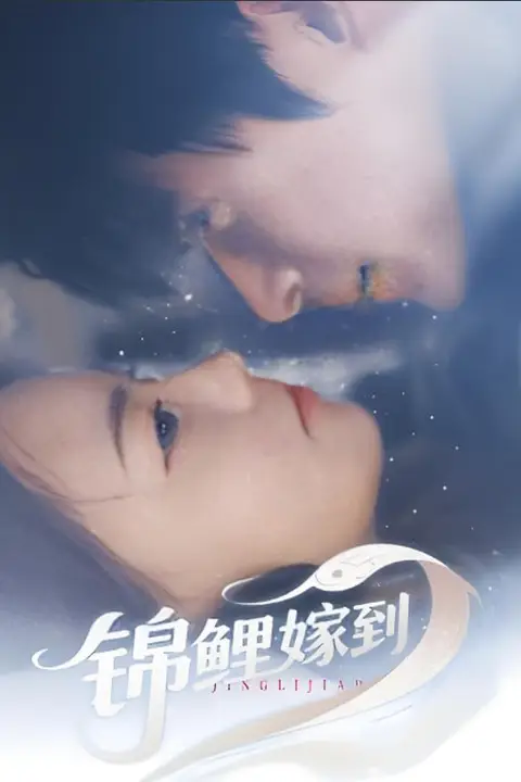 《锦鲤嫁到》封面