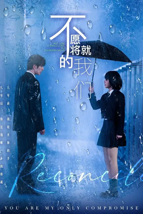《不愿将就的我们》封面