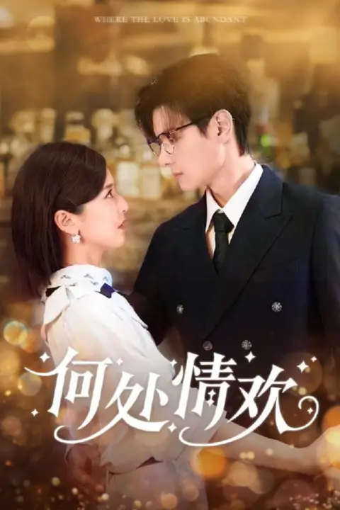 《何处情欢》封面