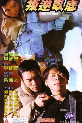《叛逆卧底》封面