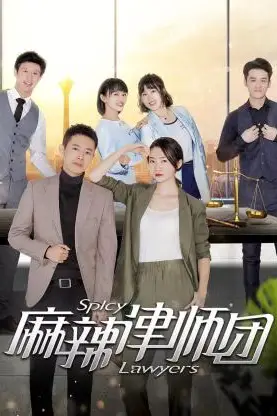 《麻辣律师团》封面
