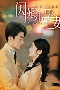 《新闪婚小孕妻》封面