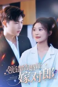 《领错结婚证嫁对郎》封面