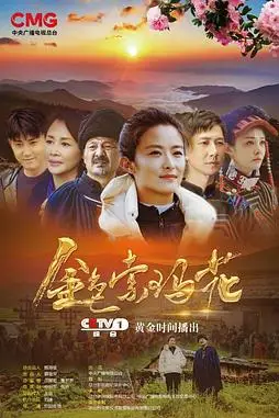 《金色索玛花》封面