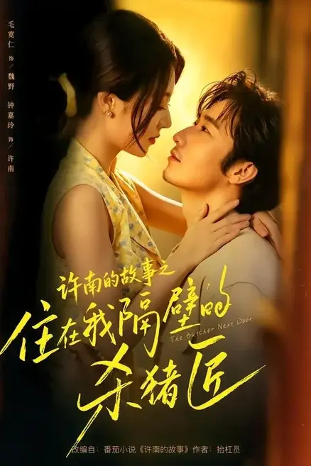 《许南的故事之住在我隔壁的杀猪匠》封面