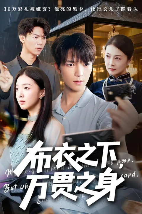 《布衣之下万贯之身》封面