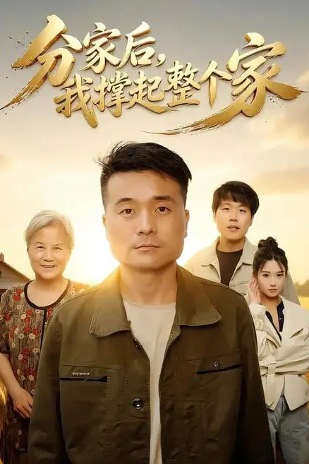 《分家后我撑起整个家》封面