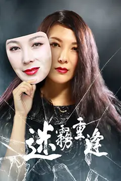 《迷雾重逢》封面