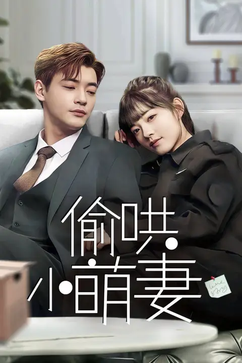 《偷哄小萌妻》封面