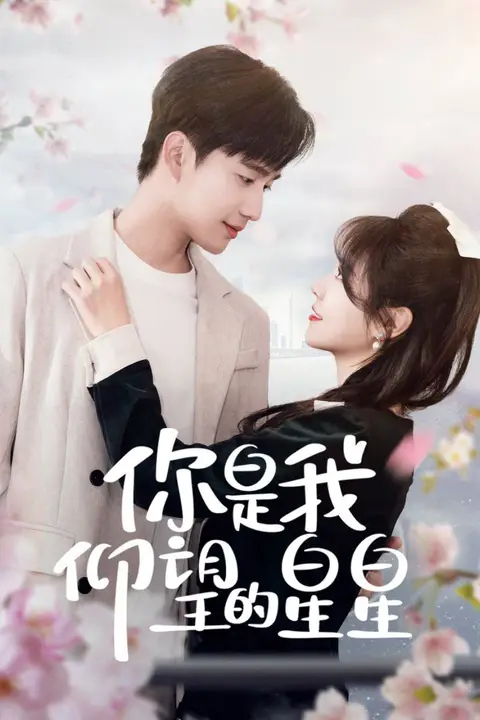 《你是我仰望的星星(时光与你皆喜欢)》封面