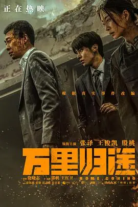 《万里归途(TC版)》封面