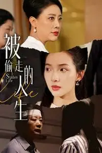 《被偷走的人生（遥不可及的母亲）》封面