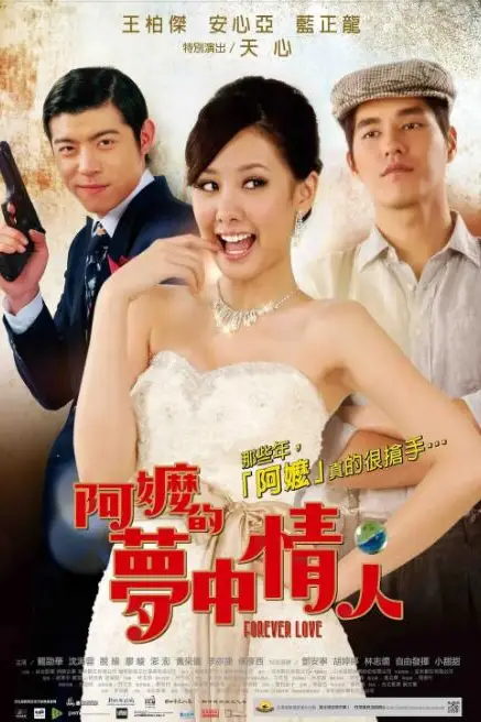 《阿嬷的梦中情人》封面