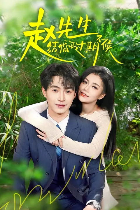 《赵先生结婚证过期不候》封面